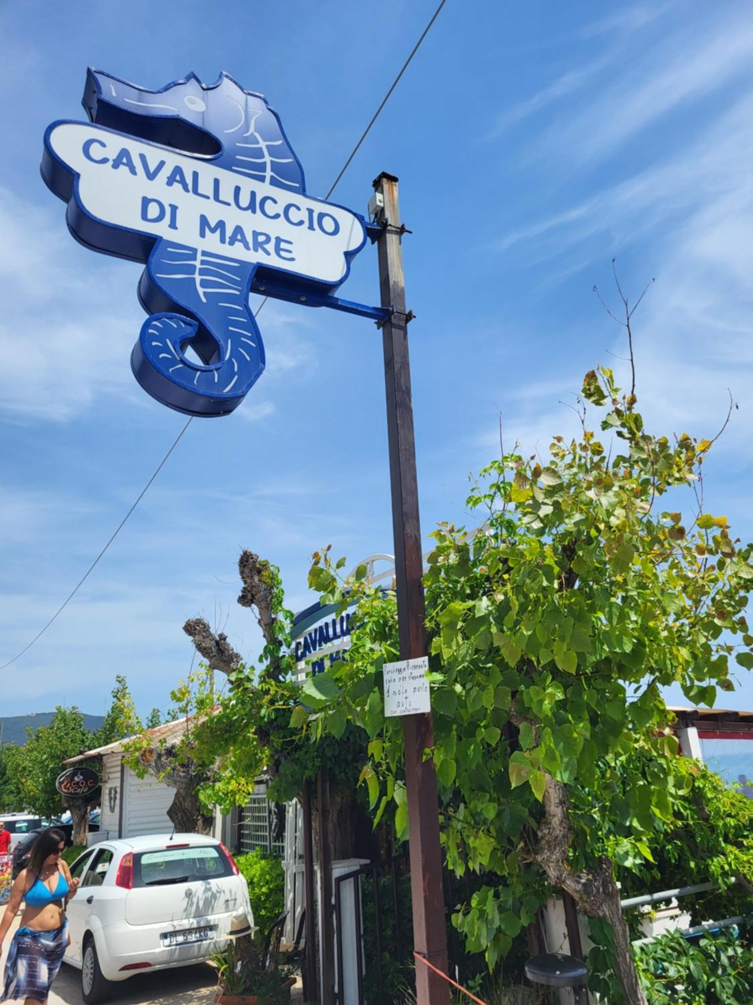 Civico11 Διαμέρισμα Ανκόνα Εξωτερικό φωτογραφία